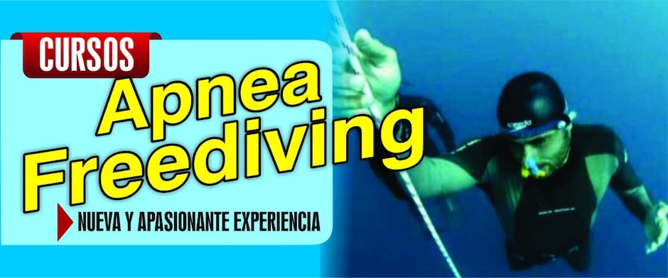 Curso Apnea
